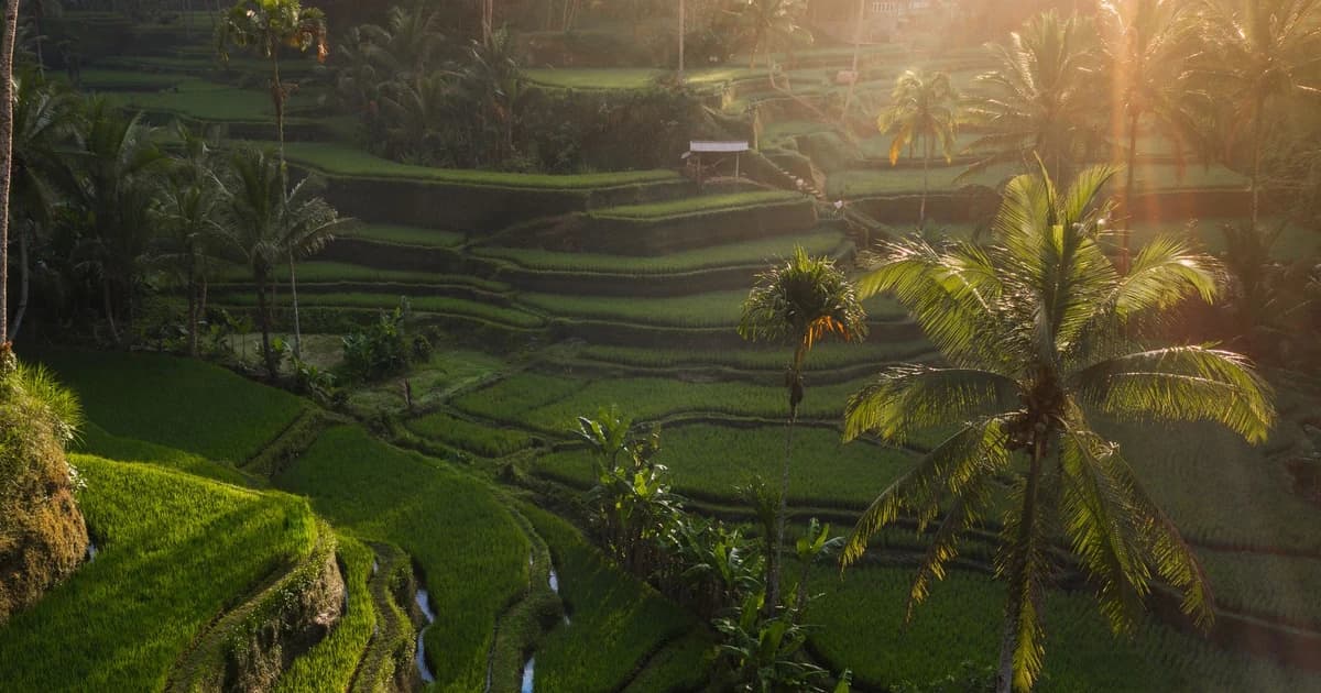 Best eSIM for Bali (2026/2027): Top Tourist Data Plans, Telkomsel 5G & Customs Guide
