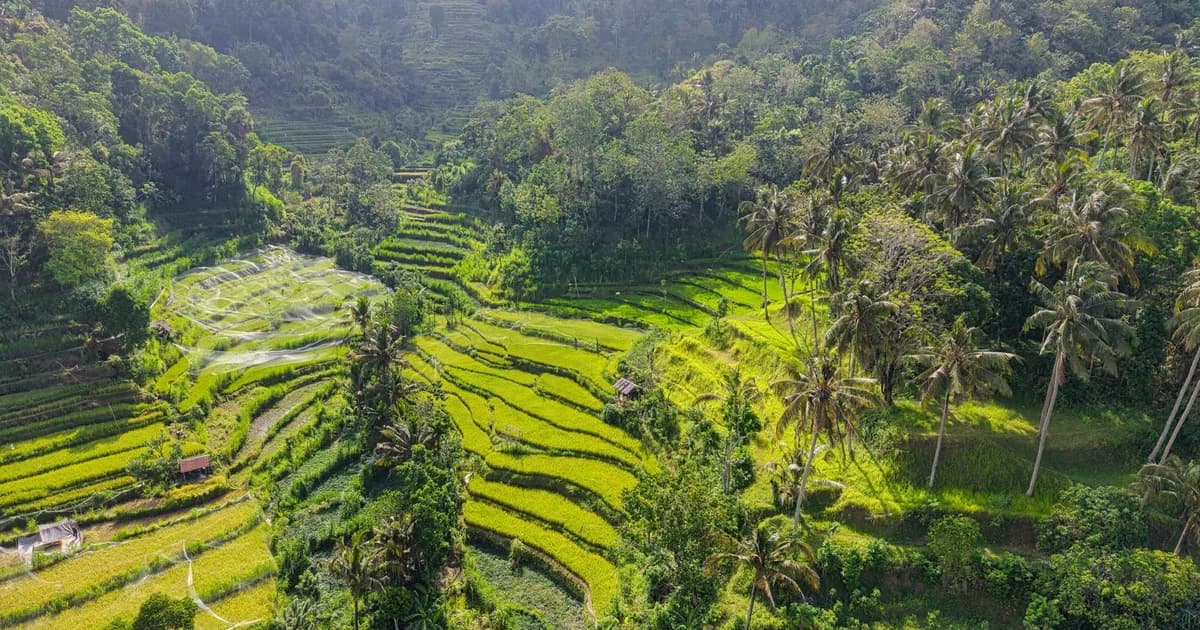Beste eSIM für Indonesien & Bali (2026/2027): Tarife, Netze & IMEI-Zoll-Tipps