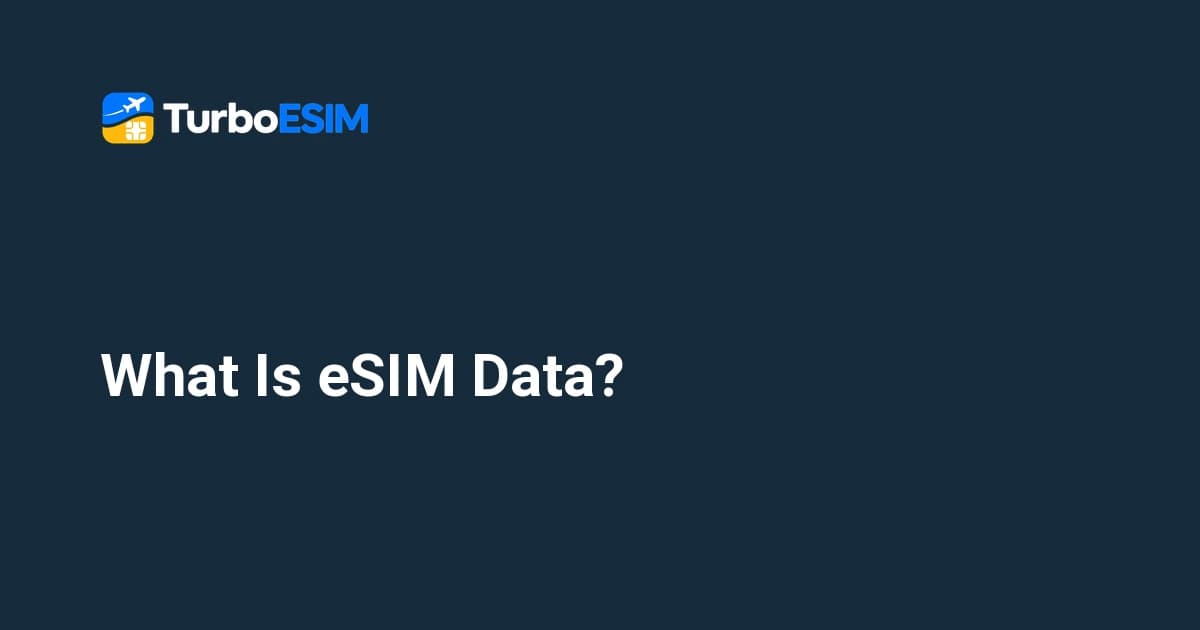 What Is eSIM Data? A Complete Beginner's Guide