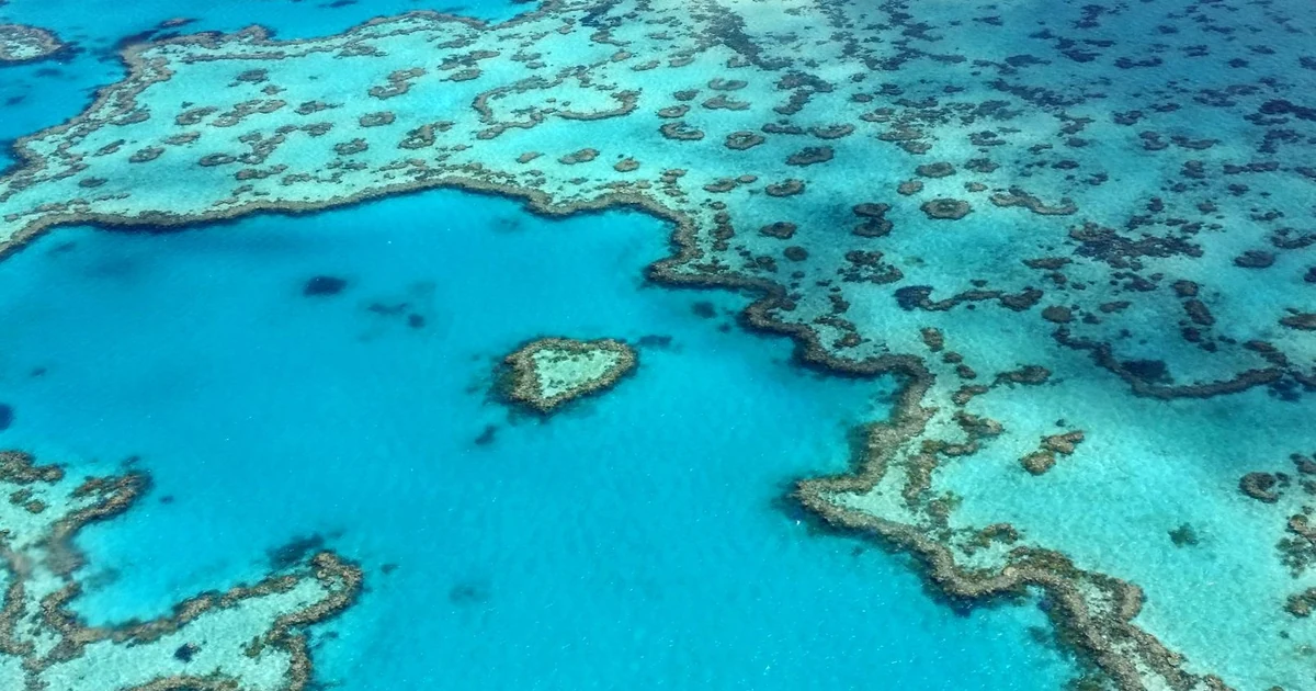 Aerial view of the Great Barrier Reef in Australia with turquoise ocean waters