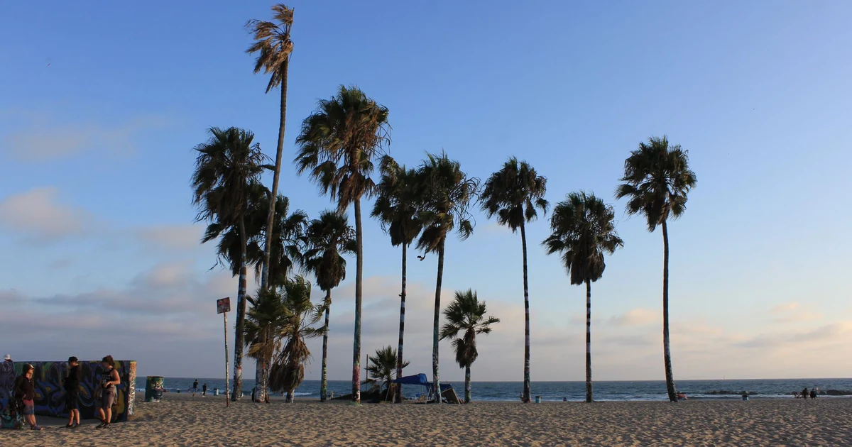 Palme e passeggiata soleggiata a Venice Beach, Los Angeles